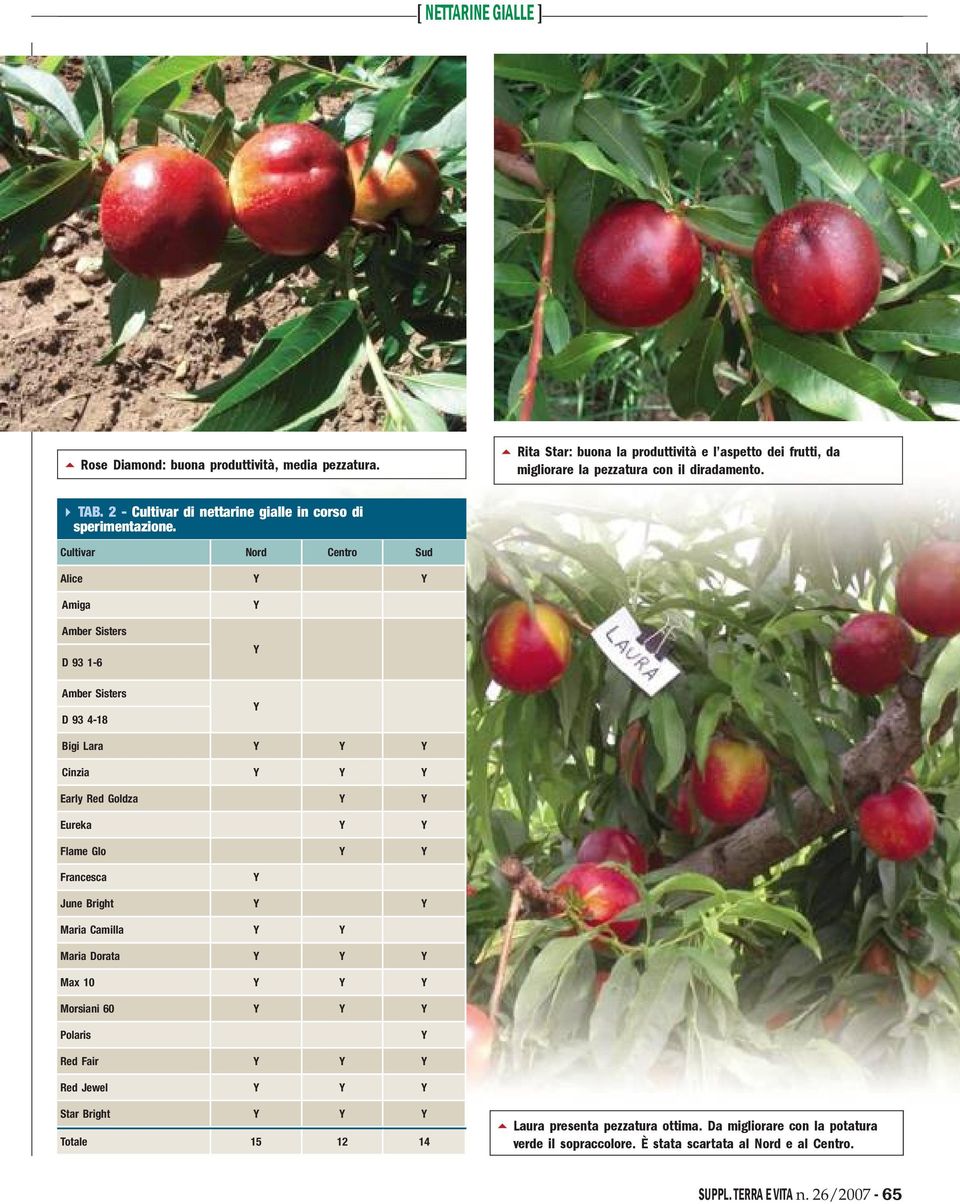 2 Cultivar di nettarine gialle in corso di sperimentazione.