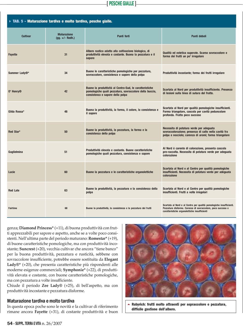 Scarso sovraccolore e forma dei frutti un po' irregolare Summer Lady * 34 Buone le caratteristiche pomologiche per pezzatura, sovraccolore, consistenza e sapore della polpa Produttività incostante;