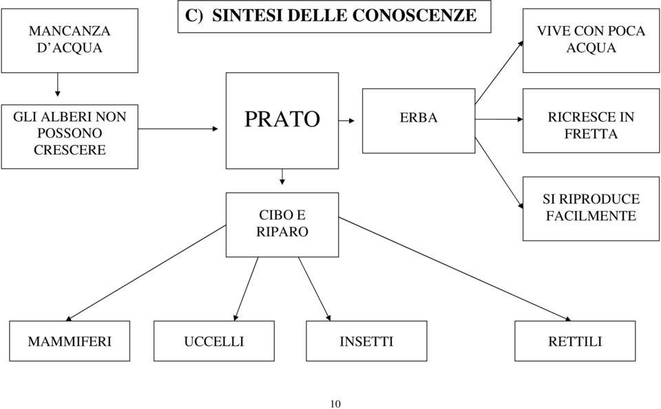 PRATO ERBA RICRESCE IN FRETTA CIBO E RIPARO SI