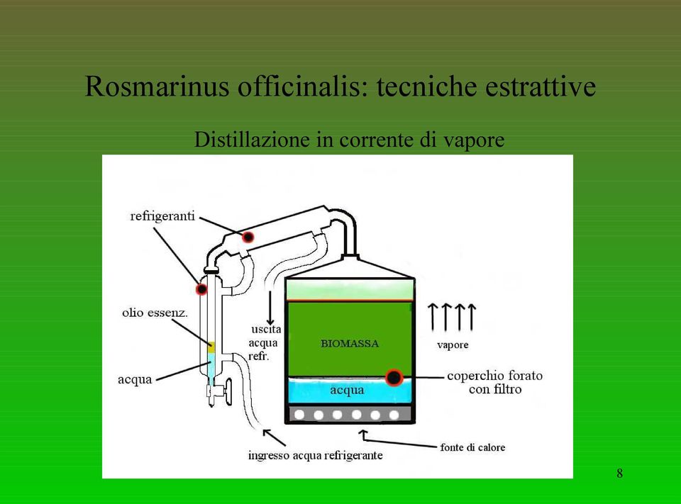 tecniche estrattive