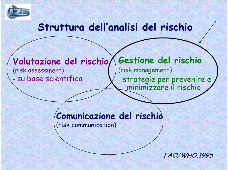 (risk management) - strategie per prevenire e minimizzare il