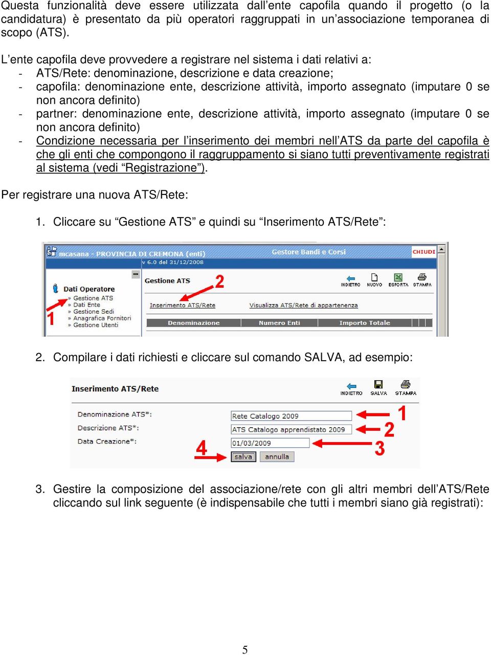 assegnato (imputare 0 se non ancora definito) - partner: denominazione ente, descrizione attività, importo assegnato (imputare 0 se non ancora definito) - Condizione necessaria per l inserimento dei