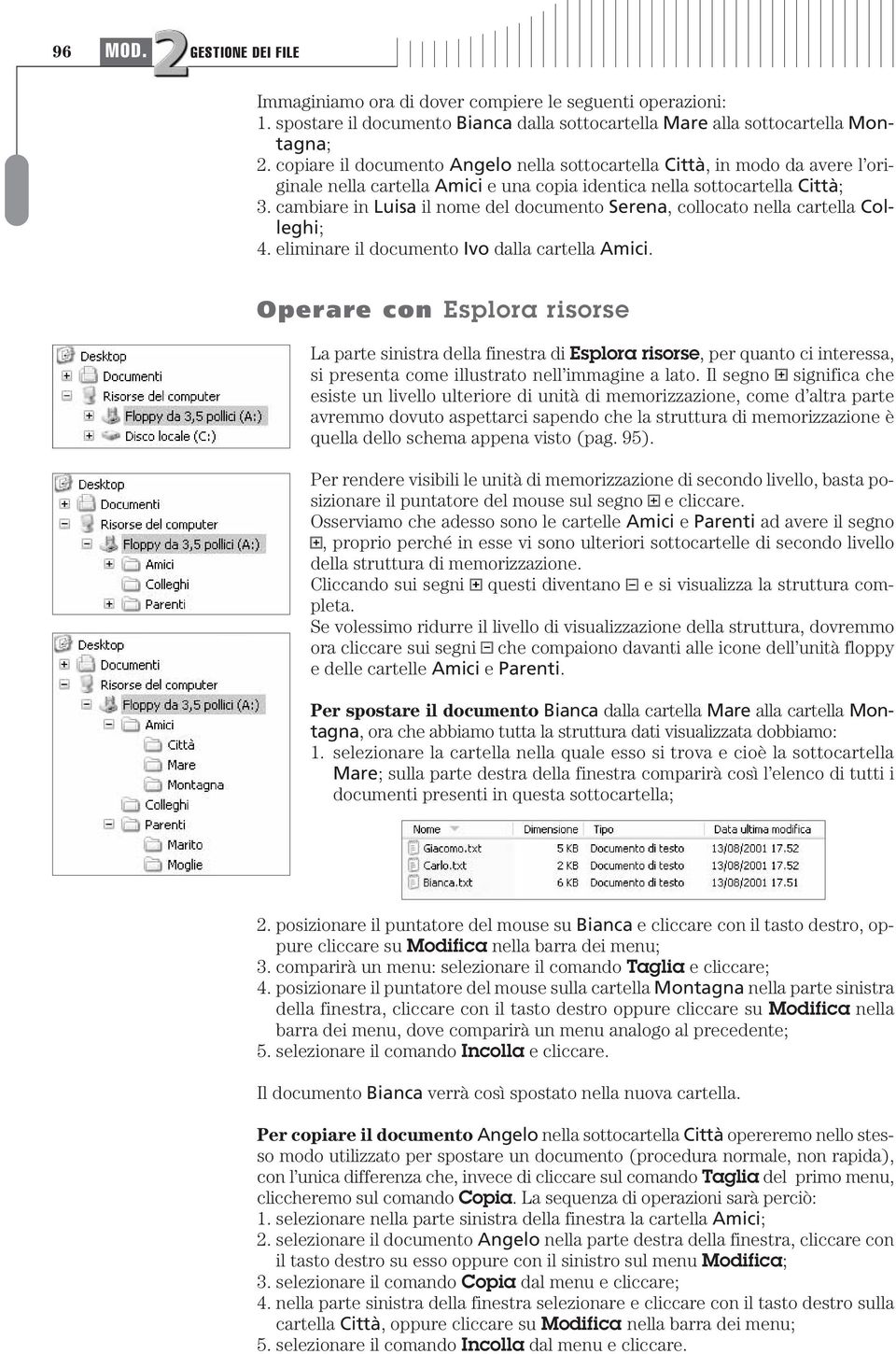 eliminre il oumento Ivo ll rtell Amii. Operre on Esplor risorse L prte sinistr ell finestr i Esplor risorse, per qunto i interess, si present ome illustrto nell immgine lto.