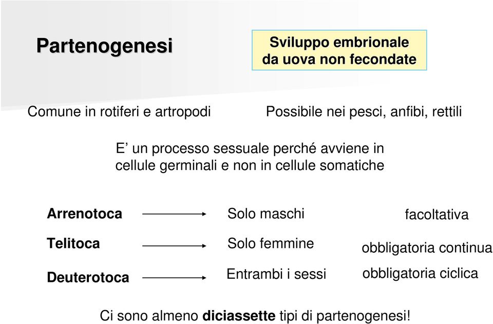 cellule somatiche Arrenotoca Telitoca Deuterotoca Solo maschi Solo femmine Entrambi i sessi