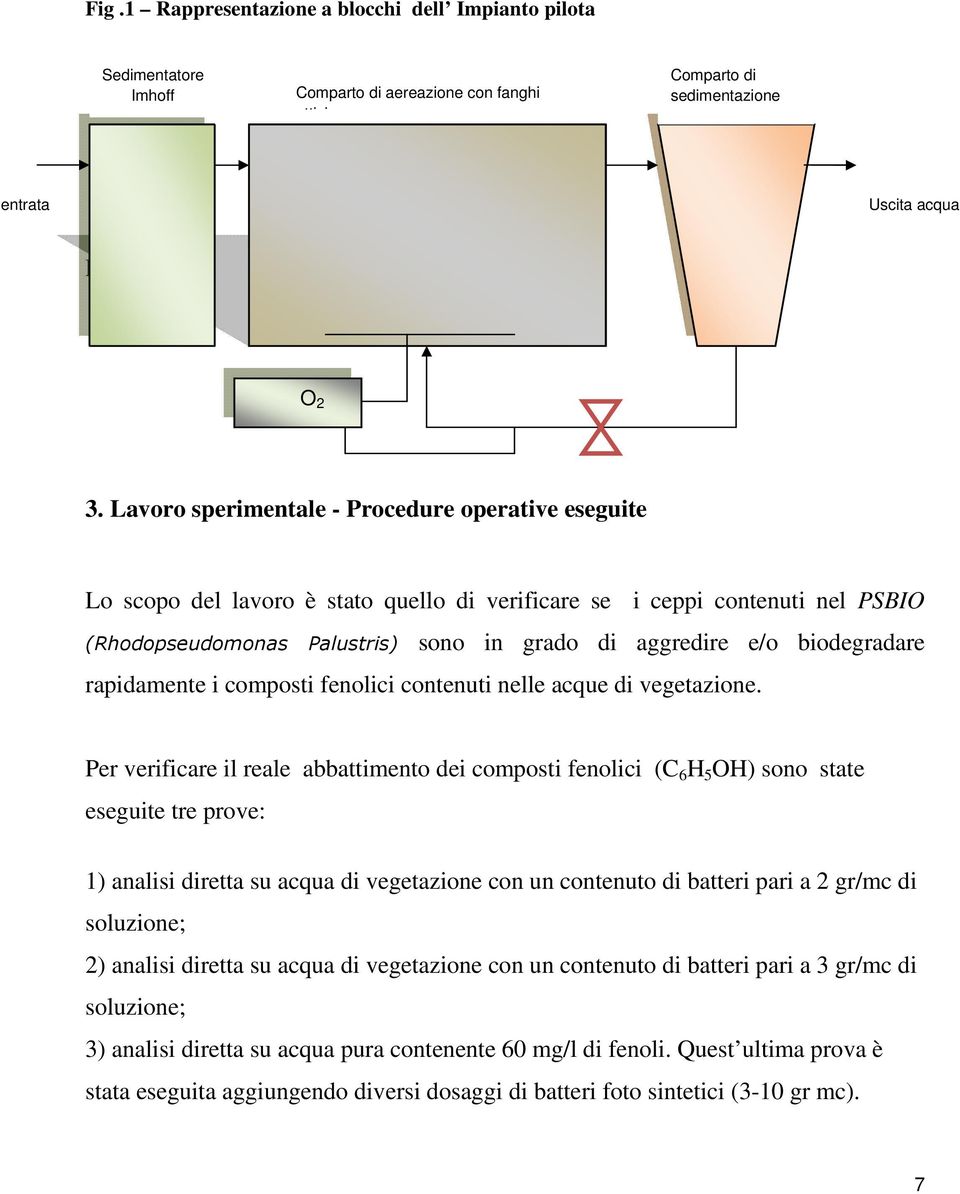 biodegradare rapidamente i composti fenolici contenuti nelle acque di vegetazione.