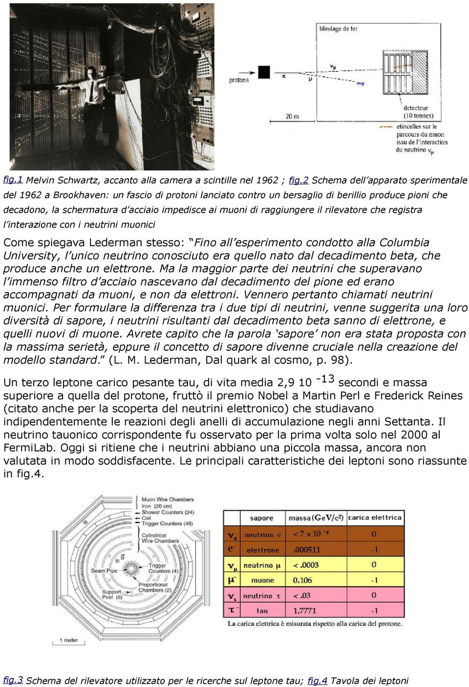 raggiungere il rilevatore che registra l interazione con i neutrini muonici Come spiegava Lederman stesso: Fino all esperimento condotto alla Columbia University, l unico neutrino conosciuto era