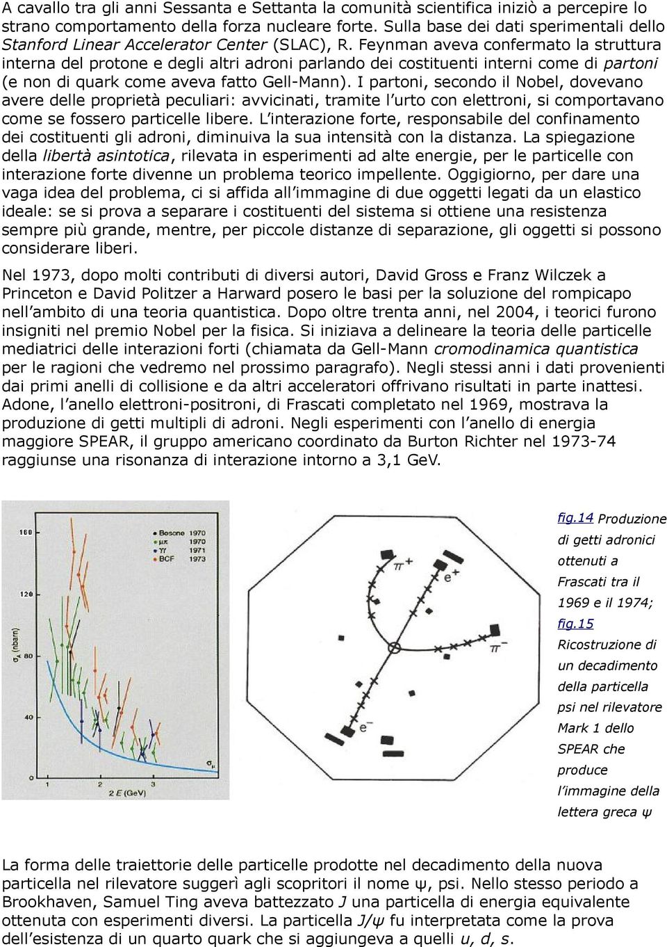 Feynman aveva confermato la struttura interna del protone e degli altri adroni parlando dei costituenti interni come di partoni (e non di quark come aveva fatto Gell-Mann).