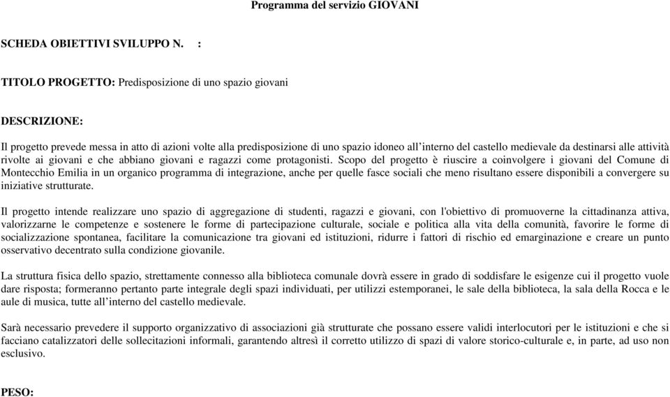 alle attività rivolte ai giovani e che abbiano giovani e ragazzi come protagonisti.