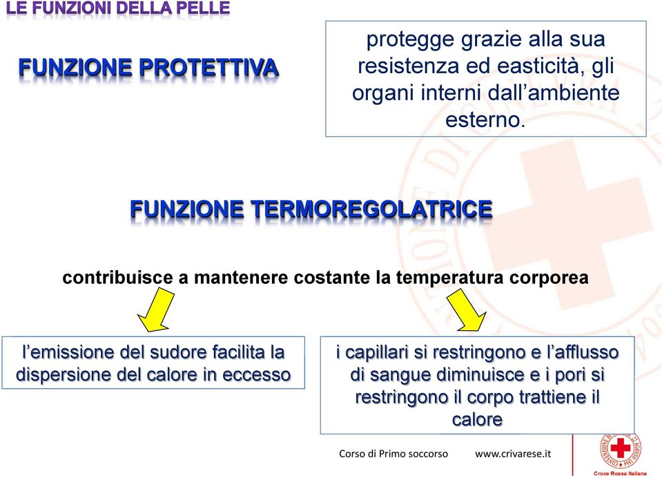 FUNZIONE TERMOREGOLATRICE contribuisce a mantenere costante la temperatura corporea l