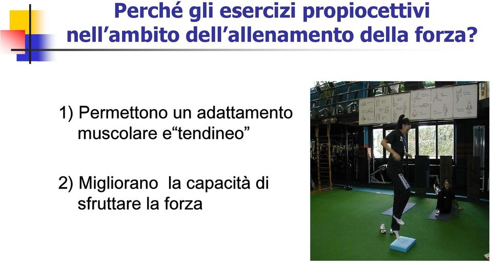 1) Permettono un adattamento muscolare e