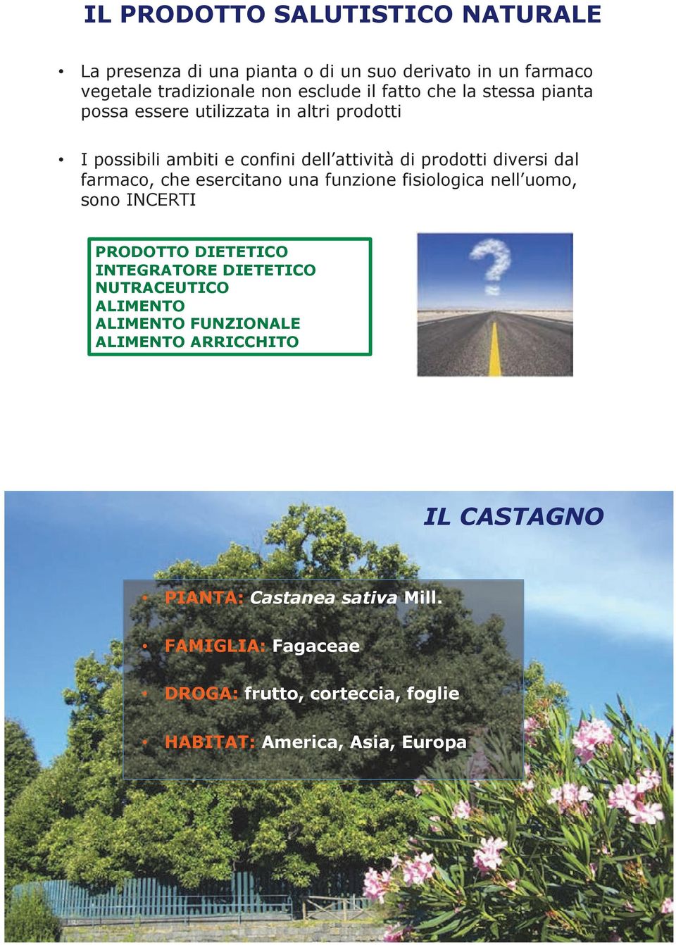 esercitano una funzione fisiologica nell uomo, sono INCERTI PRODOTTO DIETETICO INTEGRATORE DIETETICO NUTRACEUTICO ALIMENTO ALIMENTO