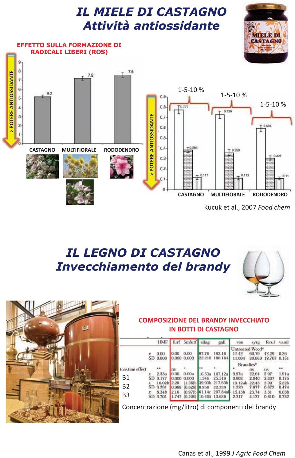 CASTAGNO Attività antiossidante IL