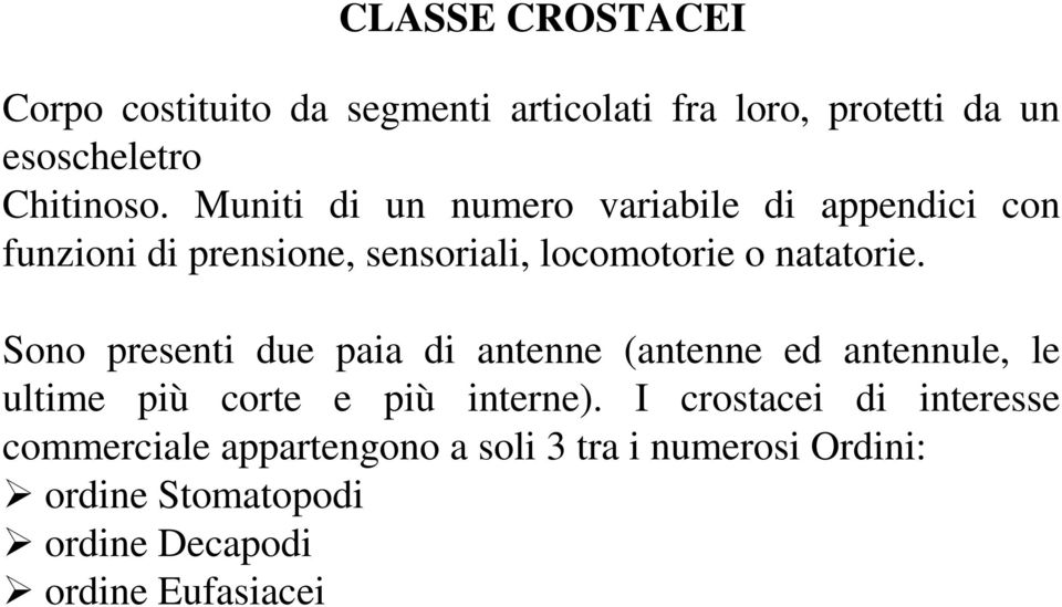 Sono presenti due paia di antenne (antenne ed antennule, le ultime più corte e più interne).