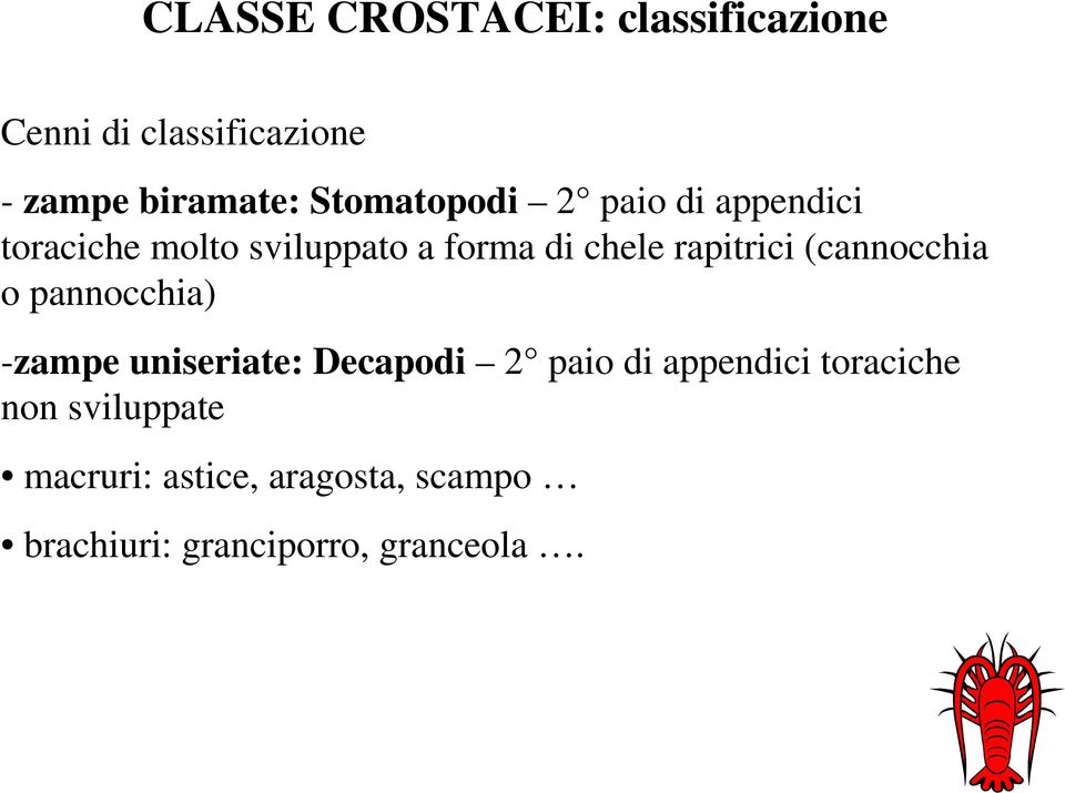 rapitrici (cannocchia o pannocchia) -zampe uniseriate: Decapodi 2 paio di