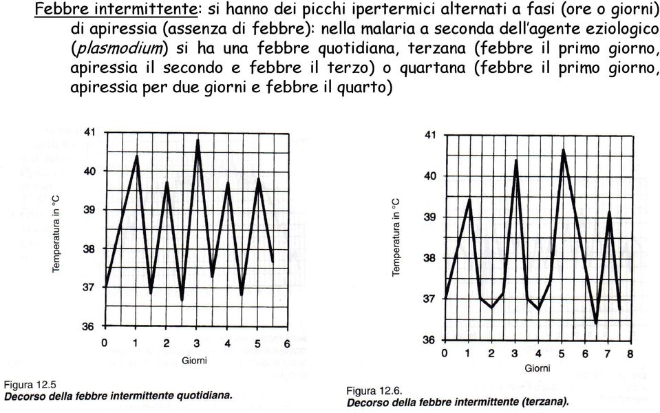 si ha una febbre quotidiana, terzana (febbre il primo giorno, apiressia il secondo e