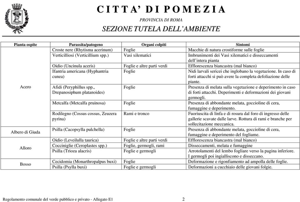 Bosso Ifantria americana (Hyphantria cunea) Nidi larvali sericei che inglobano la vegetazione. In caso di forti attacchi si può avere la completa defoliazione delle piante. Afidi (Peryphillus spp.