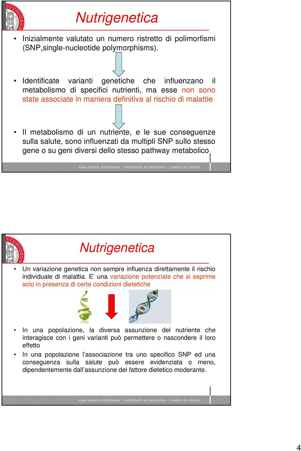 le sue conseguenze sulla salute, sono influenzati da multipli SNP sullo stesso gene o su geni diversi dello stesso pathway metabolico Nutrigenetica Un variazione genetica non sempre influenza