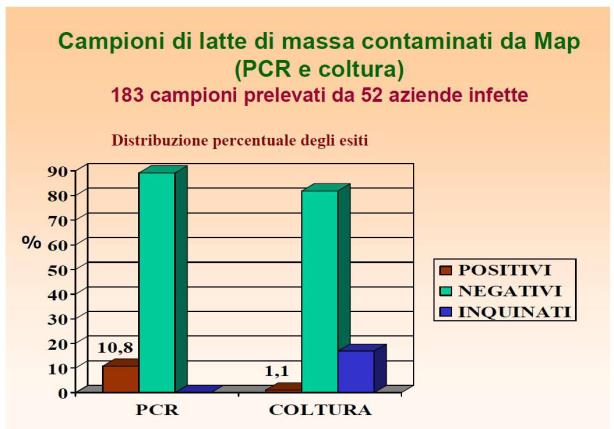 Epidemiologia prevalenza allevamenti infetti 90 80 70 60 50 40 30 20 10 0 Prime Segnalazioni UK, NL, DK, USA 1890 1900 1920 1940 1960 1980 2000