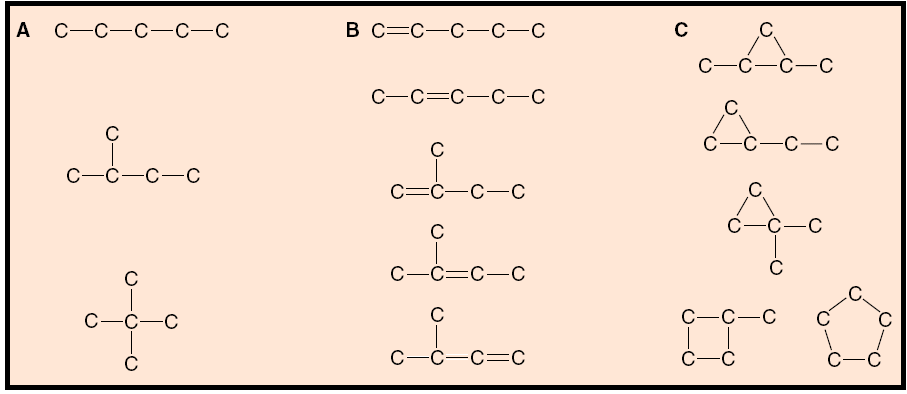 Alcuni scheletri a