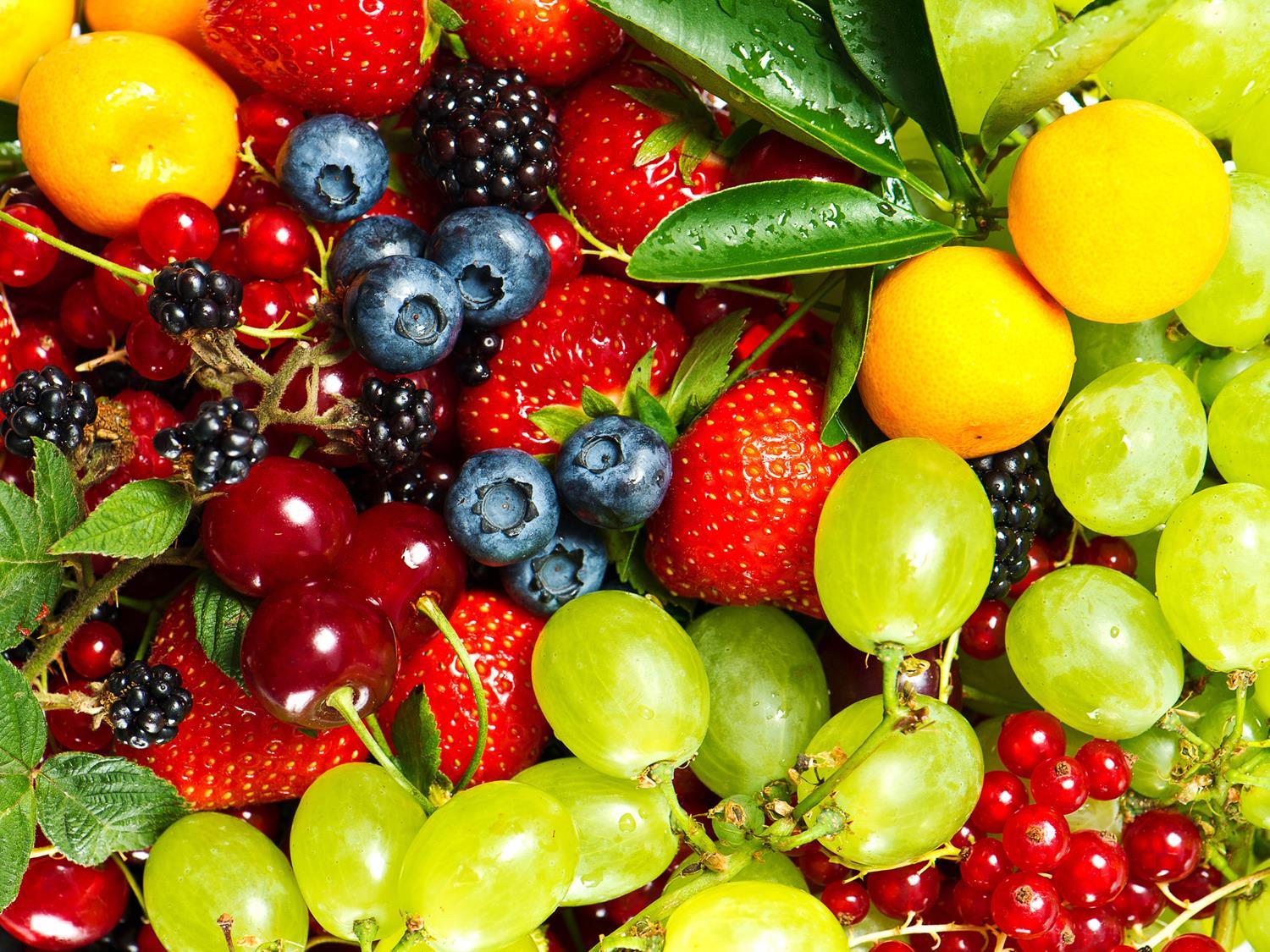Classificazione dei veri frutti I frutti secchi: Sono costituiti da tessuti