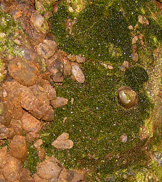 : 34 - Pistacite & Calcite Cala del Leone (Li) (max cristallo 9 mm.) (Foto Magni M.) Fig.
