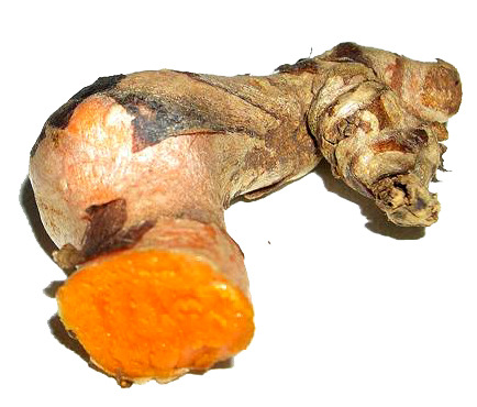 Curcuma Attività antiossidante Inibizione della tirosina chinasi in cellule di carcinoma prostatico e inibizione della c- Jun N-terminal-chinasi; Inibizione della