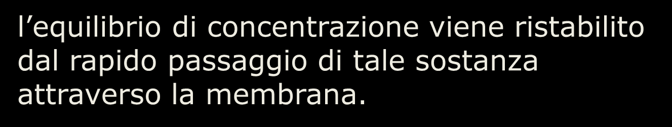 questo recipiente è diviso in due da una membrana permeabile o setto poroso e contiene, nel comparto di sinistra, un alta concentrazione di un soluto in grado di attraversare tale membrana.