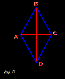Proprietà dei parallelogrammi In ogni rettangolo le diagonali sono congruenti Le diagonali AC e BD dividono il rettangolo in due triangoli rettangoli congruenti, avendo congruenti i cateti e l angolo