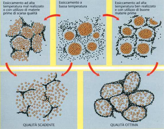 Cambiamenti ultrastrutturali nella pasta