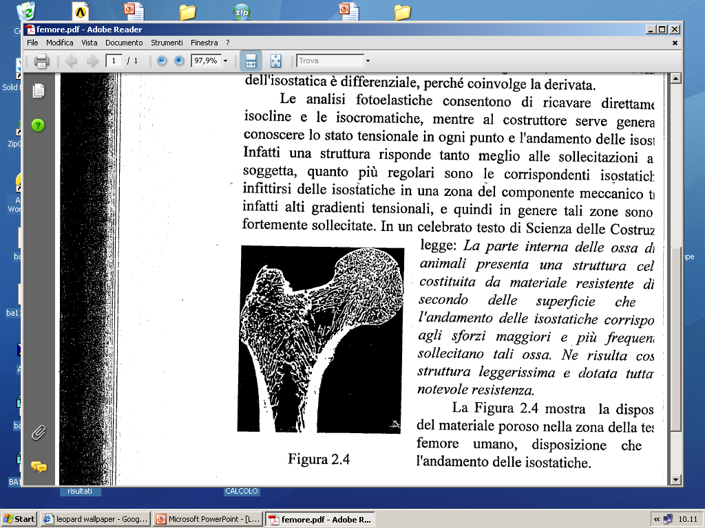 Ottimizzazione Il posizionamento ottimale delle nervature di irrigidimento si ottiene disponendole lungo la linea isostatica di massimo sforzo, come accade da sempre in natura, ad esempio nella testa