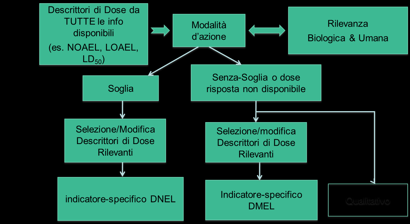 Determinazione