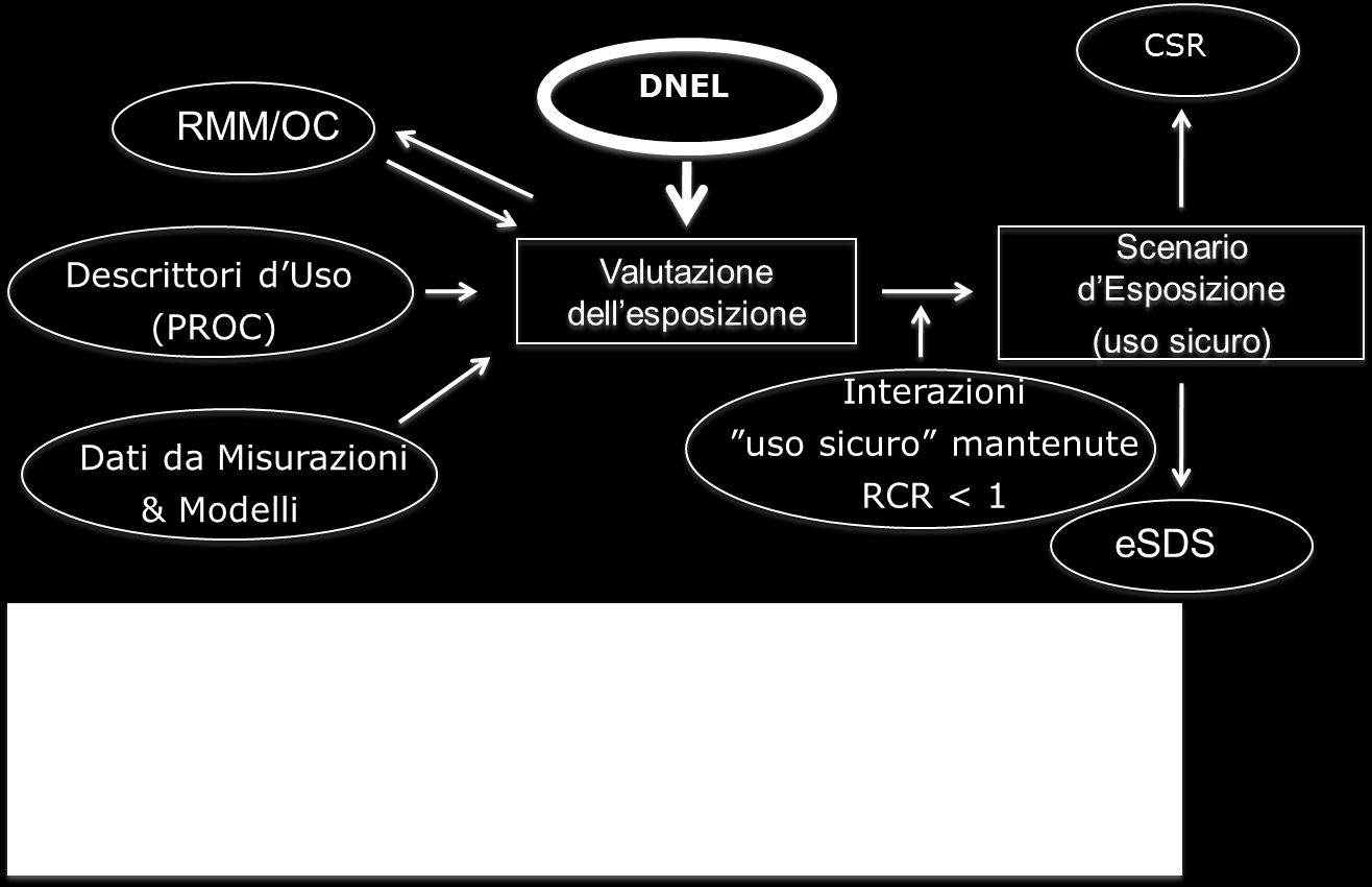 Ruolo dei DNEL nella