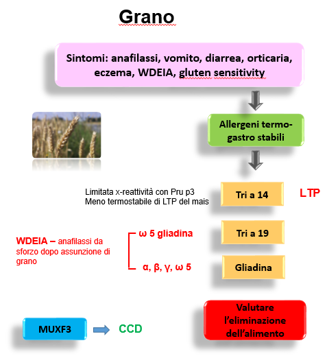 WDEIA è scatenata dall esercizio fisico o altri co-fattori come NSAID, stress, etc.