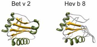 Termolabili e gastrolabili Le profiline sono una famiglia di proteine altamente conservate, presenti in tutte le cellule eucariotiche di piante, funghi, protozoi, e nei virus.