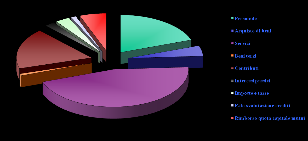 SPESE IL BILANCIO CORRENTE 2012 Le spese PERSONALE 666.185,00 ACQUISTO DI BENI 152.350,00 PRESTAZIONI DI SERVIZI 1.549.743,22 UTILIZZO BENI DI TERZI 27.500,00 TRASFERIMENTI (CONTRIBUTI) 595.