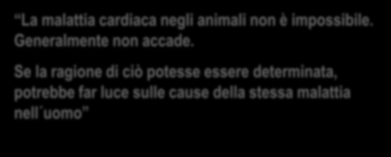 PROBLEMA: l approccio convenzionale non può risolvere queste domande basiche di cardiologia (II) c.