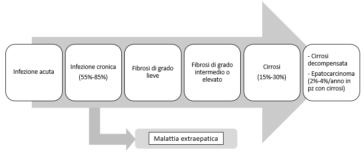 malattia. Grande importanza hanno inoltre la presenza di altre infezioni virali (da virus dell epatite A, dell epatite B o da HIV) e di fattori aggiuntivi di danno epatico.