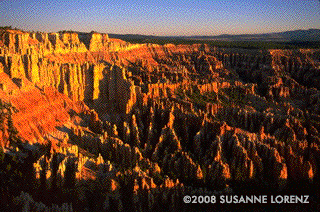 Nel pomeriggio raggiungeremo il Bryce Canyon, in un paio d'ore; da molti viene considerato il più bello dei parchi americani.