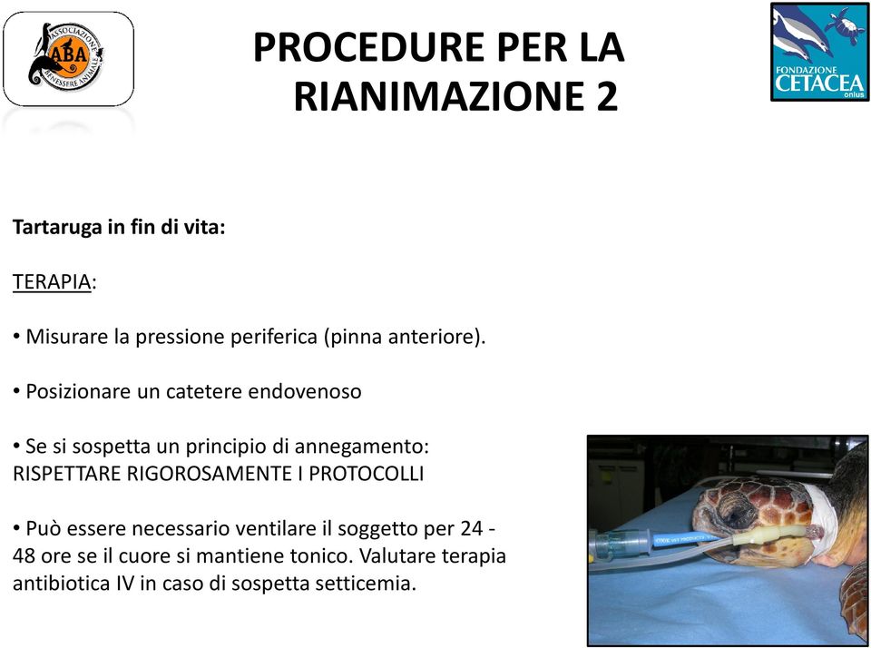 Posizionare un catetere endovenoso Se si sospetta un principio di annegamento: RISPETTARE