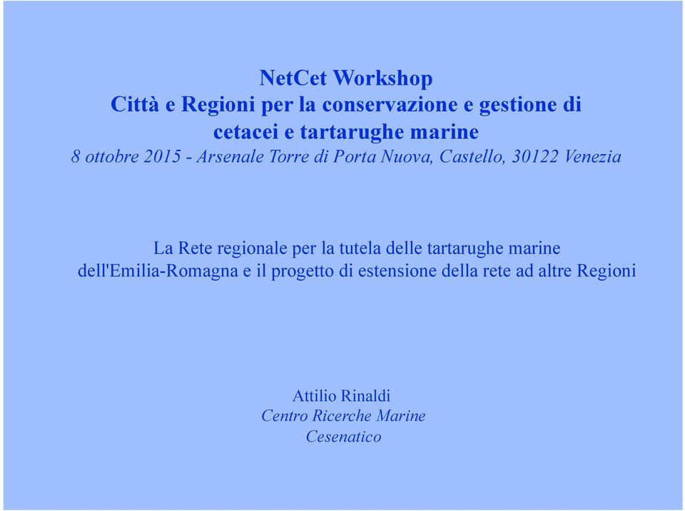 Venezia La Rete regionale per la tutela delle tartarughe marine dell'emilia-romagna e