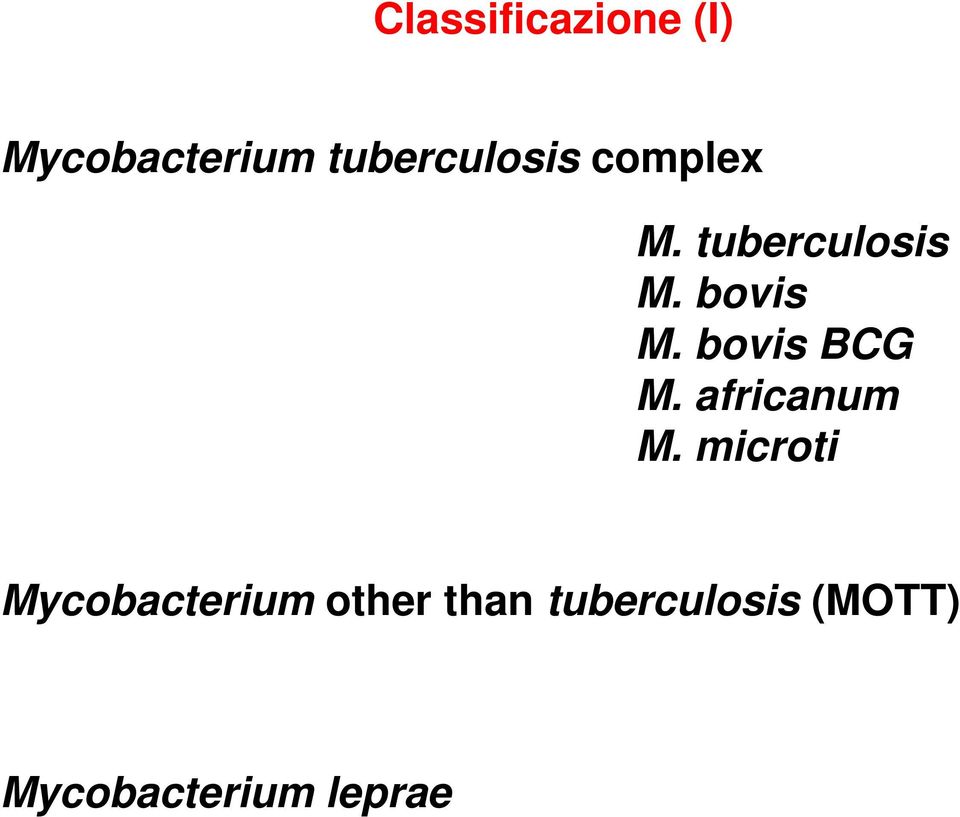 bovis M. bovis BCG M. africanum M.