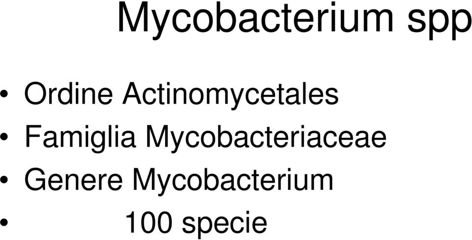 Mycobacteriaceae Genere