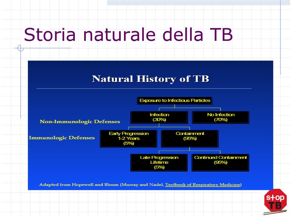 della TB