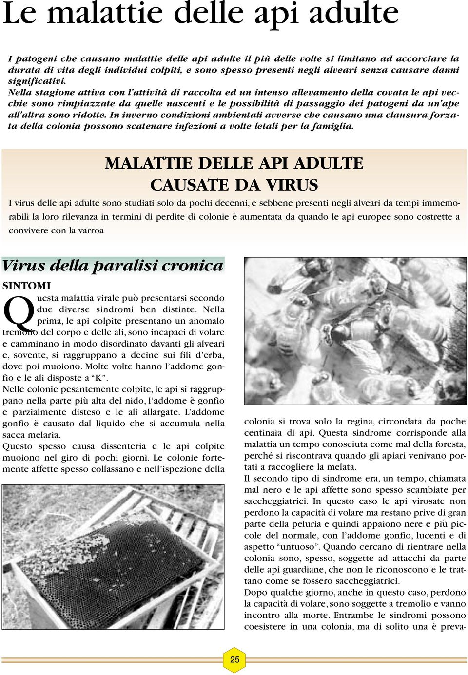 Nella stagione attiva con l attività di raccolta ed un intenso allevamento della covata le api vecchie sono rimpiazzate da quelle nascenti e le possibilità di passaggio dei patogeni da un ape all