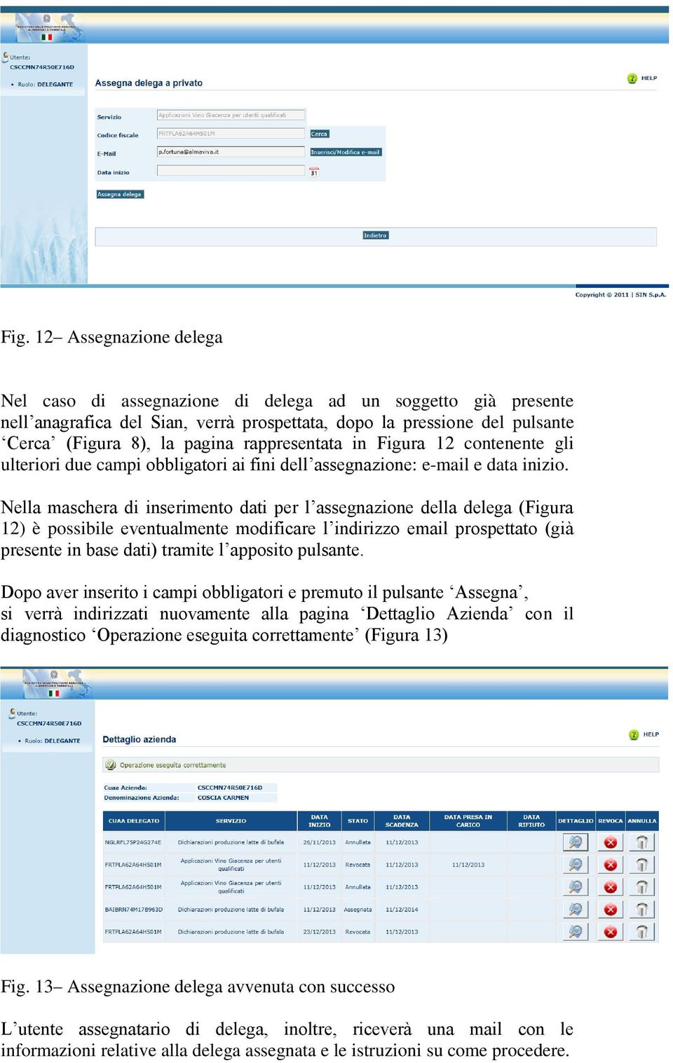 Nella maschera di inserimento dati per l assegnazione della delega (Figura 12) è possibile eventualmente modificare l indirizzo email prospettato (già presente in base dati) tramite l apposito