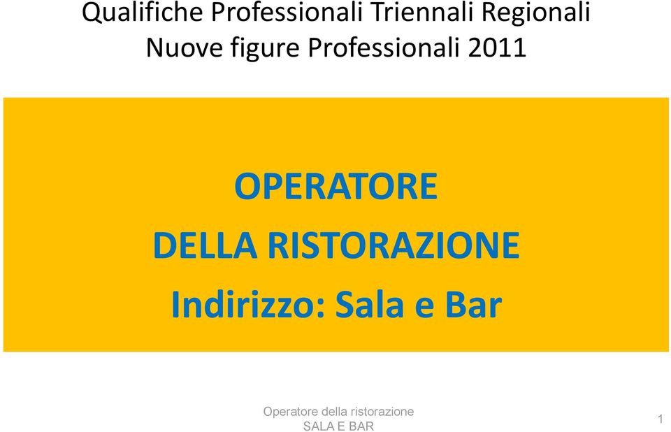 Professionali 2011 OPERATORE