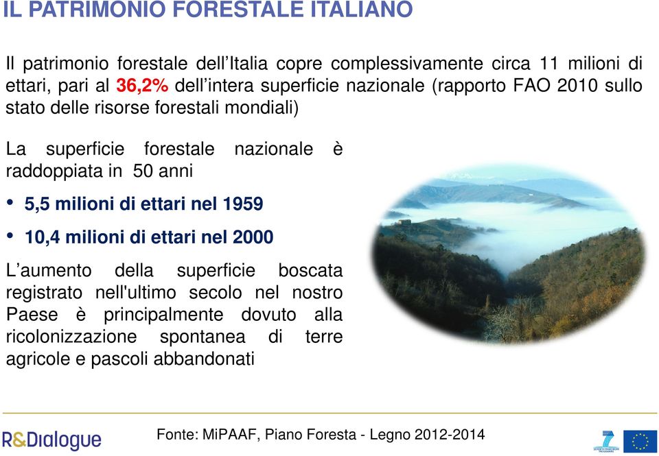 50 anni 5,5 milioni di ettari nel 1959 10,4 milioni di ettari nel 2000 L aumento della superficie boscata registrato nell'ultimo secolo nel