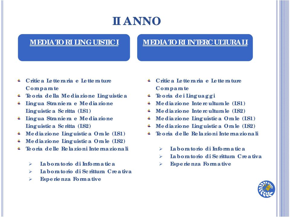 Informatica Laboratorio di Scrittura Creativa Esperienza Formative Critica Letteraria e Letterature Comparate Teoria dei Linguaggi Mediazione Interculturale (LS1) Mediazione Interculturale