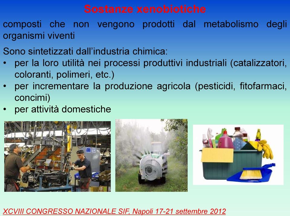 processi produttivi industriali (catalizzatori, coloranti, polimeri, etc.