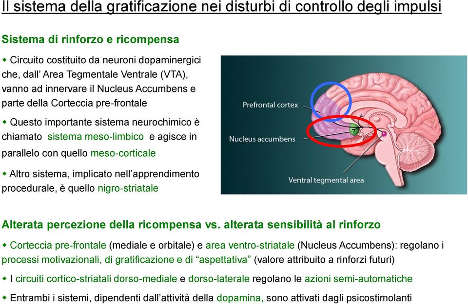 sistema, implicato nell apprendimento procedurale, è quello nigro-striatale Alterata percezione della ricompensa vs.